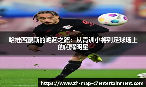 关键词4